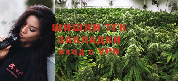 шишки Киренск