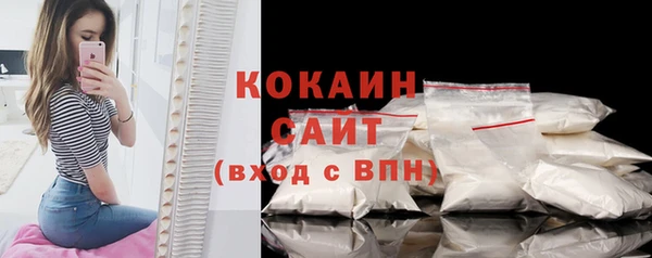 шишки Киренск