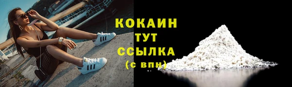 шишки Киренск