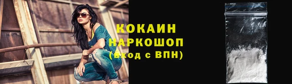 шишки Киренск