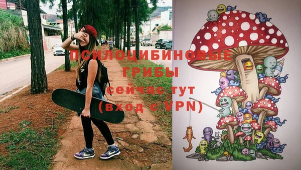 шишки Киренск